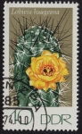 Stamps Germany -  Lobivia haageana
