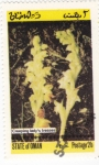 Stamps Oman -  flores