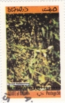 Stamps Oman -  flores