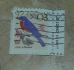 Stamps United States -  Bluebird