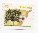 Stamps Canada -  la flor del peral