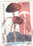 Stamps Equatorial Guinea -  termitomyces robustus