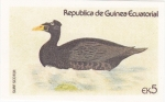 Stamps Equatorial Guinea -  patos