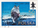 Stamps Poland -  perro