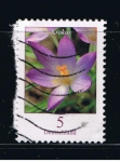 Stamps Germany -  Krokus