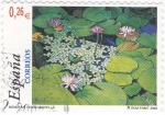 Stamps Spain -  pintura- paisajes