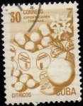 Stamps Cuba -  Exportaciones Cubanas.- CITRICOS