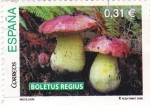 Stamps Spain -  micología-boletus regius