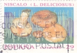 Stamps Spain -  micología-niscalo (L.deliciosus)