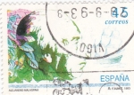 Stamps Spain -  Alejandro Malaspina