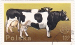 Stamps Poland -  vacas