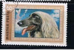 Stamps Hungary -  Afgane  fej