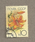 Stamps Russia -  Reina de Africa