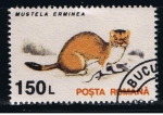 Stamps Romania -  Mustela erminea