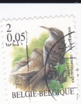 Stamps Belgium -  aves