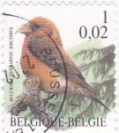 Stamps Belgium -  aves