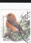 Stamps Belgium -  aves
