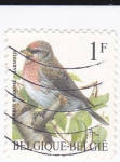 Stamps Belgium -  aves