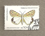 Stamps Russia -  Mariposa Utetheisa pulchella
