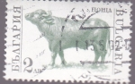 Stamps Bulgaria -  buey