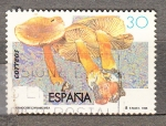 Stamps Spain -  E3342 Micología (553)