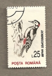 Stamps Romania -  Dendrocopos major