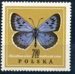 Stamps Poland -  