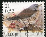 Stamps Belgium -  
