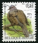 Stamps Belgium -  