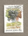 Stamps Hungary -  Variedades uva para vinificación