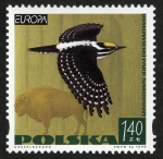 Stamps Poland -  POLONIA -  Parque Muskau / Parque Muzakowski