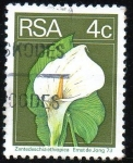 Stamps Russia -  Cala