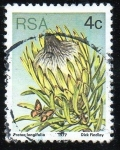 Stamps Russia -  Protea