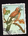 Stamps United Arab Emirates -  serie- Aves