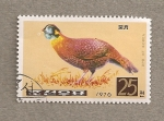 Stamps North Korea -  Pavo real