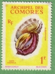 Stamps Comoros -  Harpa Conoidalis 