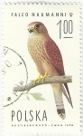 Stamps Poland -  HALCON