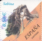 Stamps Spain -  Arboles- Sabina       (L)