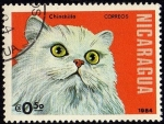 Stamps Nicaragua -  Chinchilla