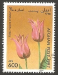 Stamps Afghanistan -  Flor tulipan