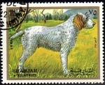 Stamps United Arab Emirates -  PERRO
