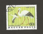 Stamps Hungary -  Cigüeña