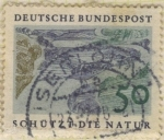 Stamps Germany -  Protege la naturaleza