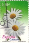 Stamps Spain -  Margarita