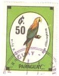 Stamps : America : Paraguay :  Paraguay