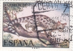 Stamps Spain -  Gineta-FAUNA HISPÁNICA  (y)