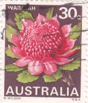Stamps Australia -  WARAYAH