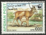 Stamps Afghanistan -  WWF - fauna, ovis vignei