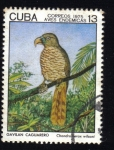 Stamps Cuba -  Aves Endemicas