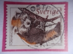 Stamps Sweden -  Panda